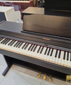 ROLAND RP-501R