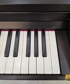 ROLAND RP-501R