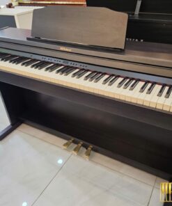 ROLAND RP-501R