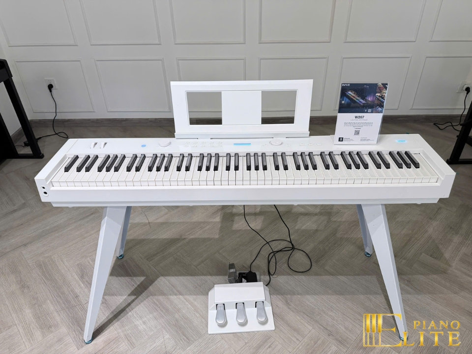 Wave W267 LED Key | Phím piano led độc đáo (trắng & đen)