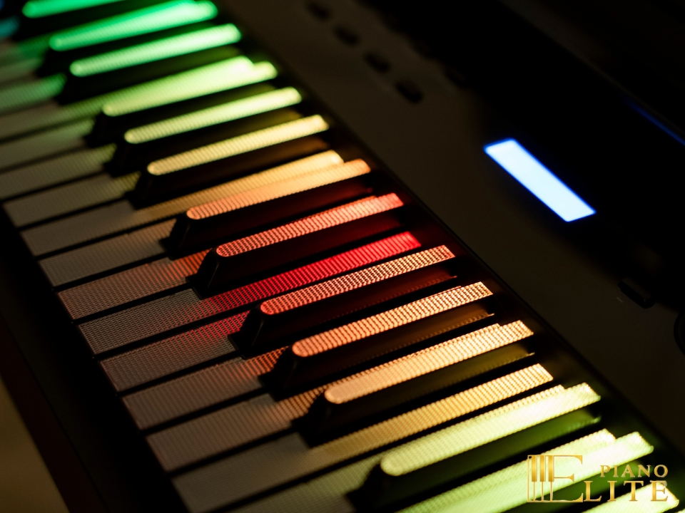 Wave W267 LED Key | Phím piano led độc đáo (trắng & đen)