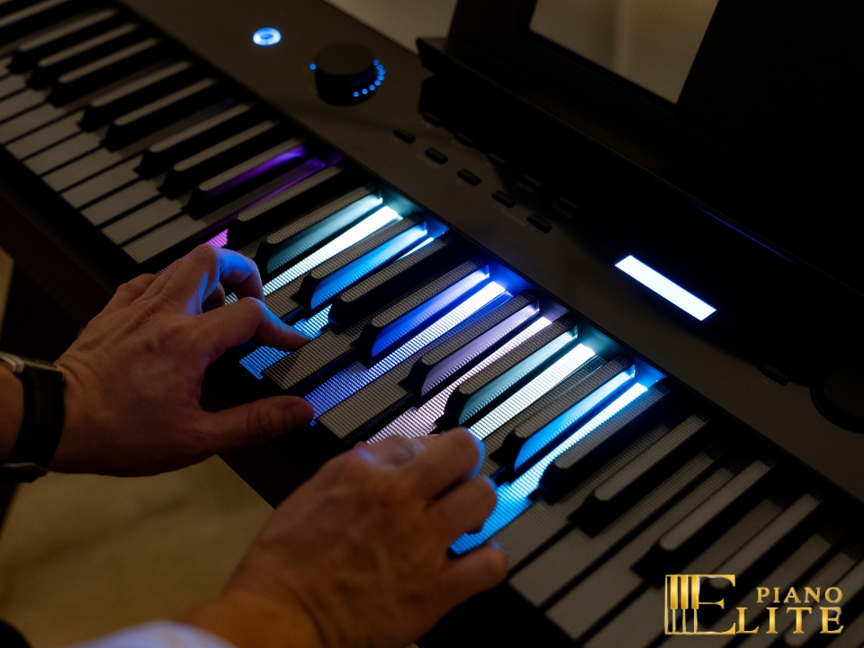 Wave W267 LED Key | Phím piano led độc đáo (trắng & đen)