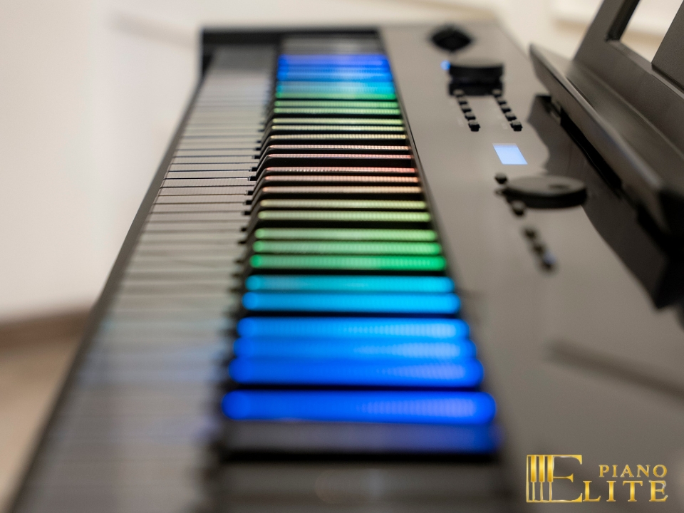 Wave W267 LED Key | Phím piano led độc đáo (trắng & đen)