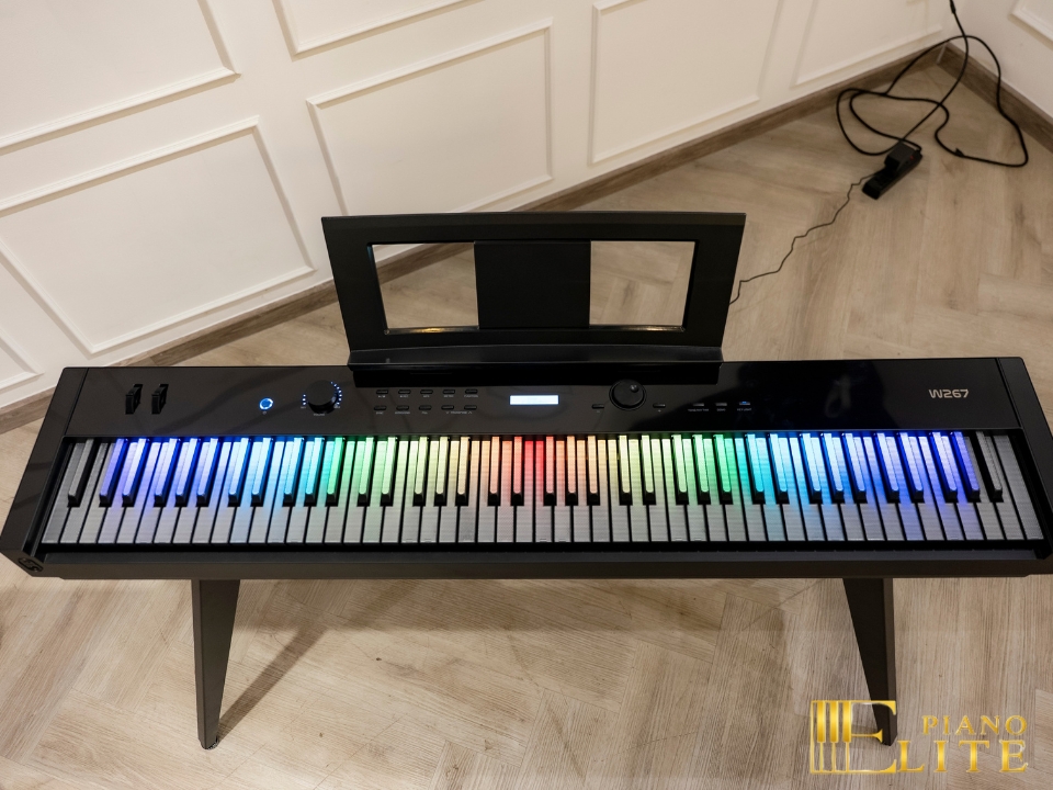 Wave W267 LED Key | Phím piano led độc đáo (trắng & đen)