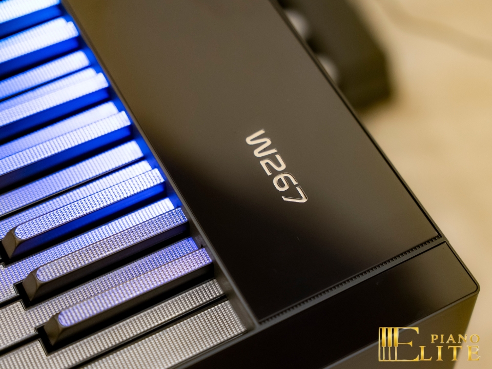 Wave W267 LED Key | Phím piano led độc đáo (trắng & đen)