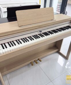 ROLAND RP-701 LA (USED)
