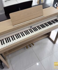 ROLAND RP-701 LA (USED)