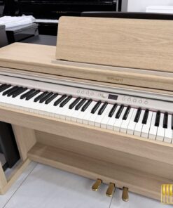 ROLAND RP-701 LA (USED)