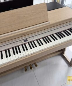 ROLAND RP-701 LA (USED)
