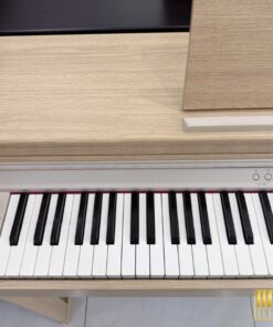 ROLAND RP-701 LA (USED)
