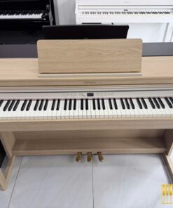 ROLAND RP-701 LA (USED)