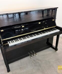 FEURICH 122 Universal (Black Polished - Brass)