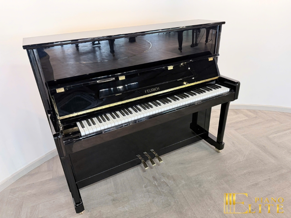 FEURICH 122 Universal (Black Polished - Brass) - Nah Music