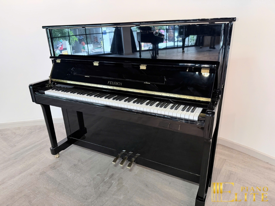 FEURICH 122 Universal (Black Polished - Brass)