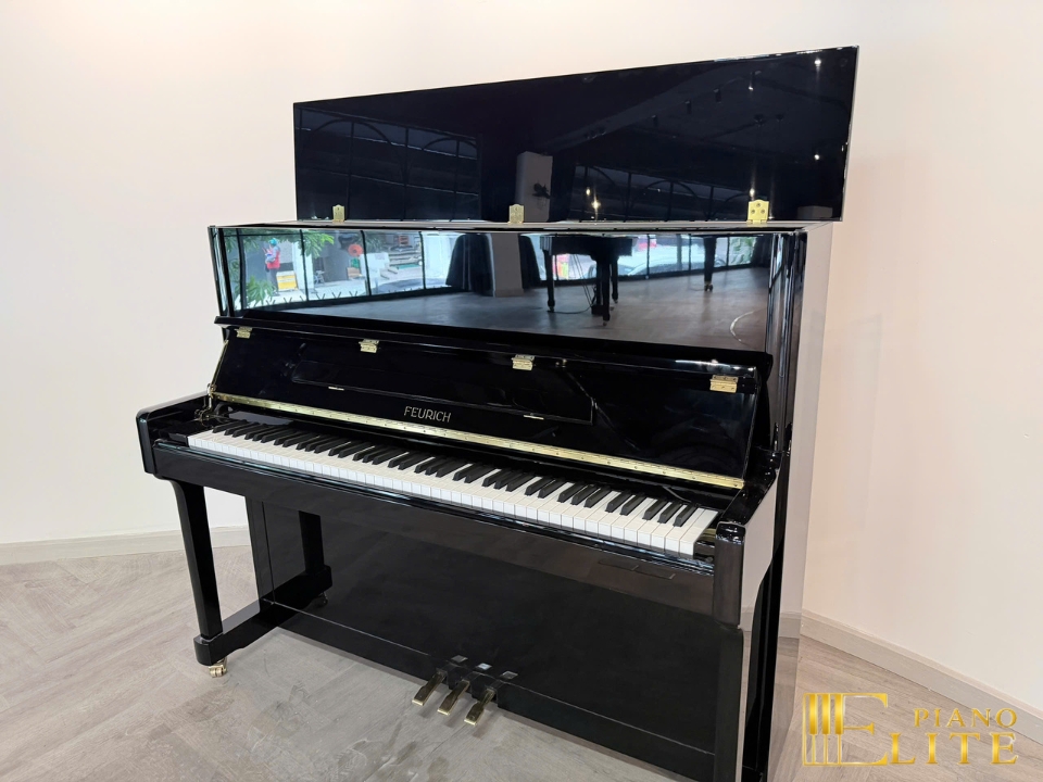 FEURICH 122 Universal (Black Polished - Brass) - Nah Music