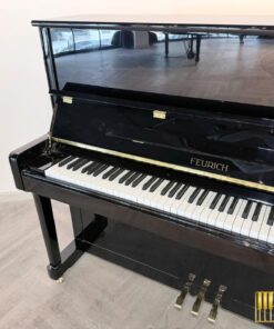 FEURICH 122 Universal (Black Polished - Brass)