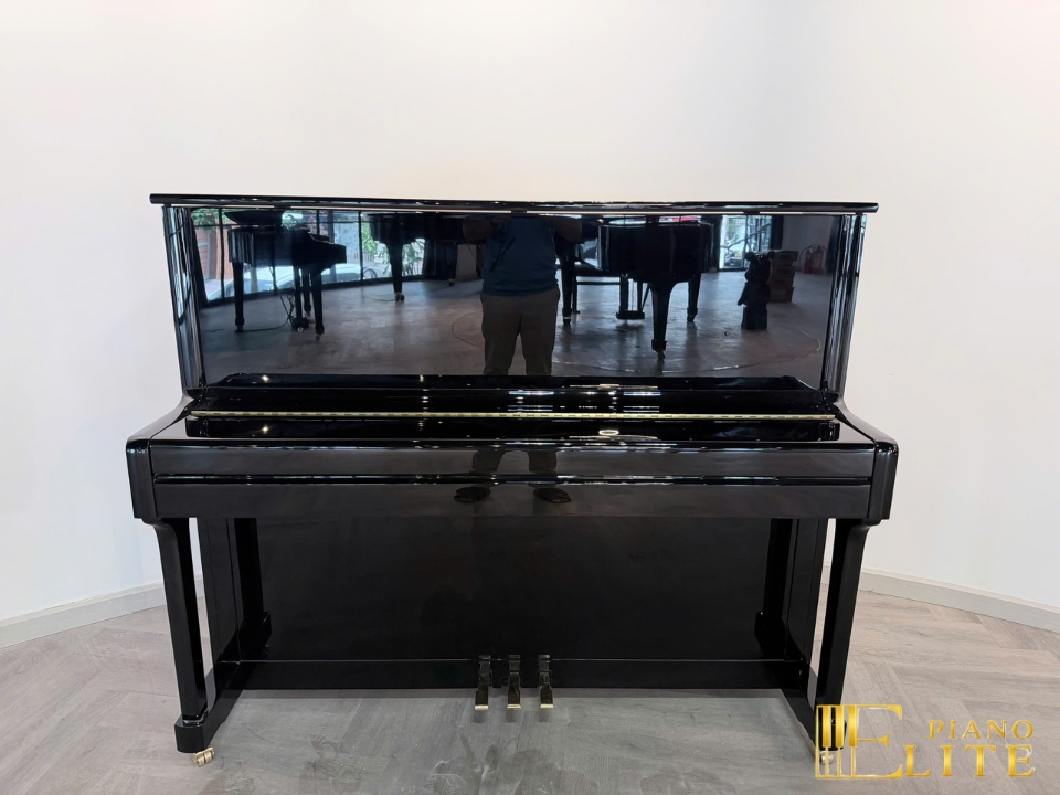 FEURICH 122 Universal (Black Polished - Brass) - Nah Music