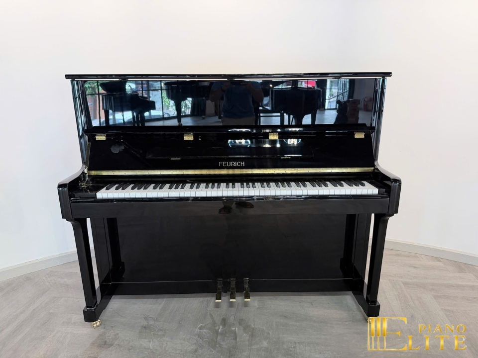 FEURICH 122 Universal (Black Polished - Brass) - Nah Music