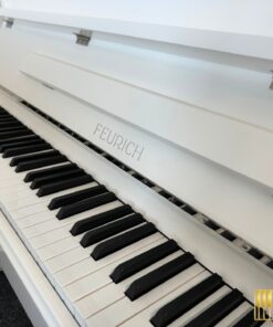 FEURICH 122 Universal (White Polished - Chrome)