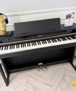 Wave W200 Concert Series | Công nghệ âm thanh Hi-Tech mới nhất 2026