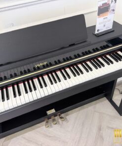 Wave W200 Concert Series | Công nghệ âm thanh Hi-Tech mới nhất 2026