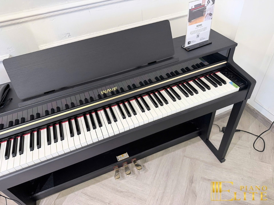 Wave W200 Concert Series | Công nghệ âm thanh Hi-Tech mới nhất 2026