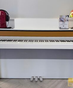 Wave W800-W Concert Series | Công nghệ âm thanh Hi-Tech mới nhất 2026