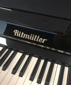 Ritmuller RS122 (Walnut Burl)
