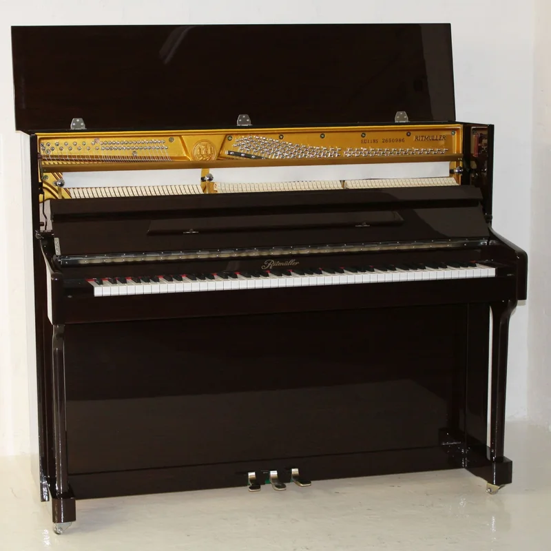 Ritmuller RSH1119 – Toàn cảnh thiết kế tại Nah Music