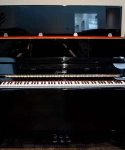 Ritmuller UHX121C