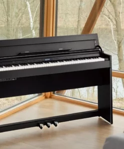 ROLAND DP-603 CBS