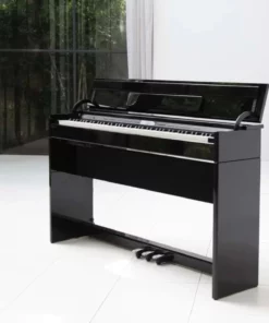ROLAND DP-603 PE
