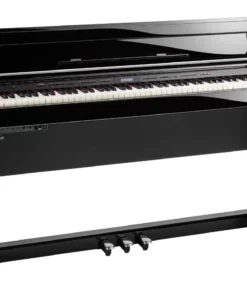 ROLAND DP-603 PE