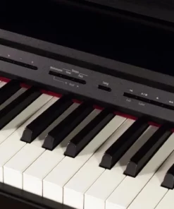 ROLAND DP-603 PE