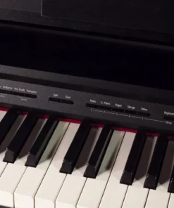 ROLAND DP-603 PE