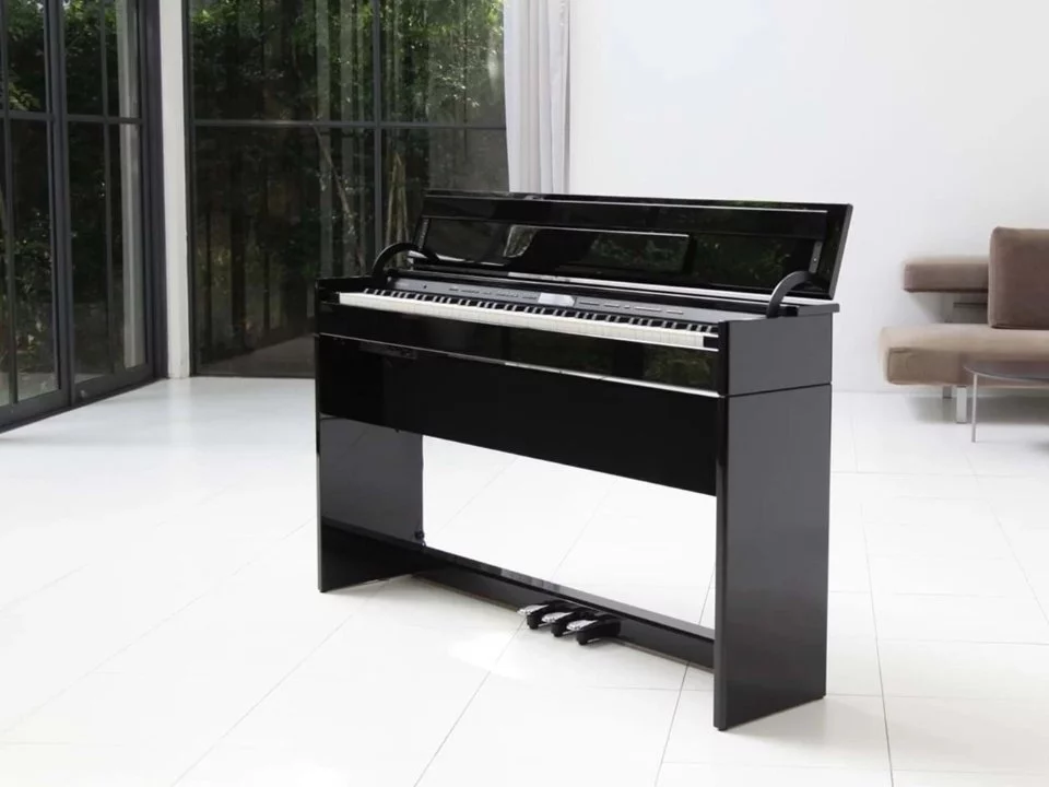ROLAND DP-603 PE