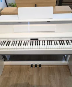 ROLAND DP-603 PW