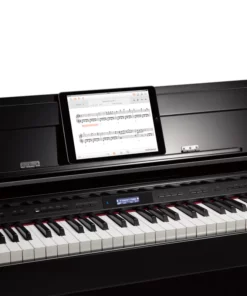 ROLAND DP-603 PW