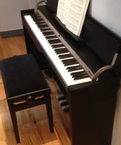ROLAND DP-970