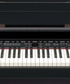 ROLAND DP-990R PE