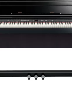 ROLAND DP-990R PE