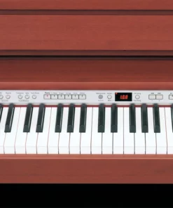 ROLAND DP-990R PE