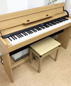 ROLAND DP-603 NBS