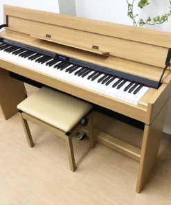 ROLAND DP-603 NBS