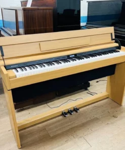 ROLAND DP-603 NBS