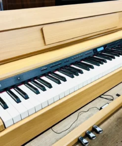 ROLAND DP-603 NBS