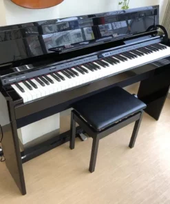 ROLAND DP-90S PE