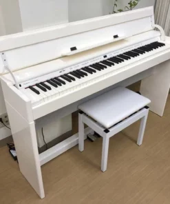ROLAND DP-90Se PWS