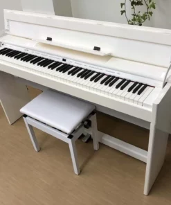 ROLAND DP-90Se PWS