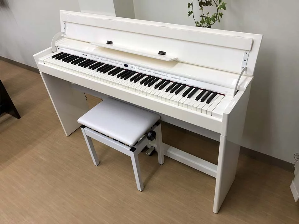 ROLAND DP-90Se PWS - Nah Music
